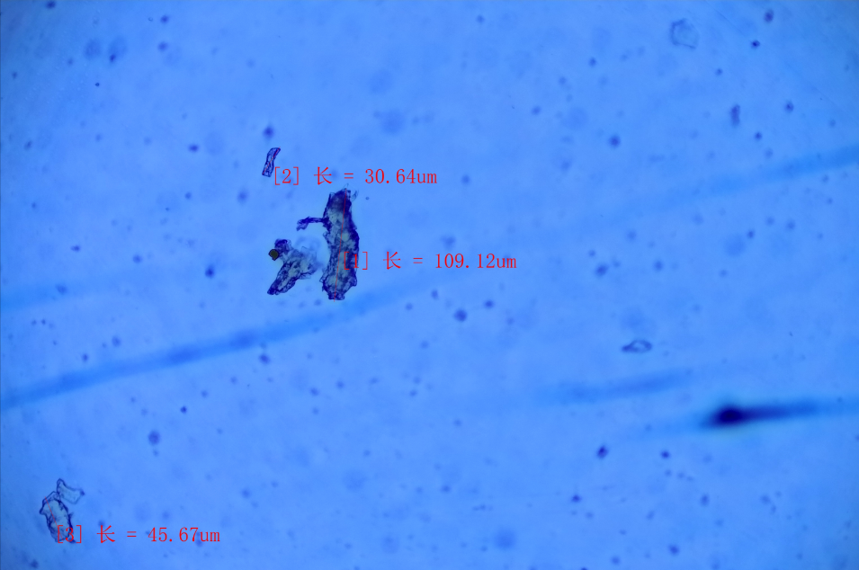 1730442058624.jpg